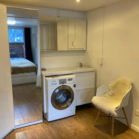 Ski Chalet Rinerhorn Apartment