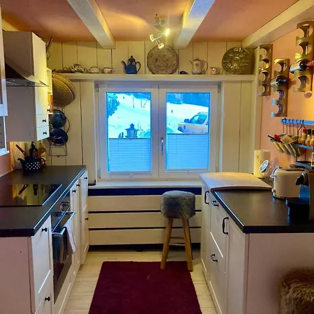 Apartament Ski Chalet Rinerhorn