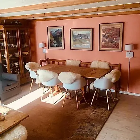 Ski Chalet Rinerhorn *