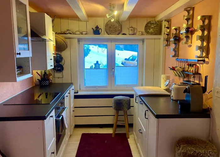 Appartement Ski Chalet Rinerhorn