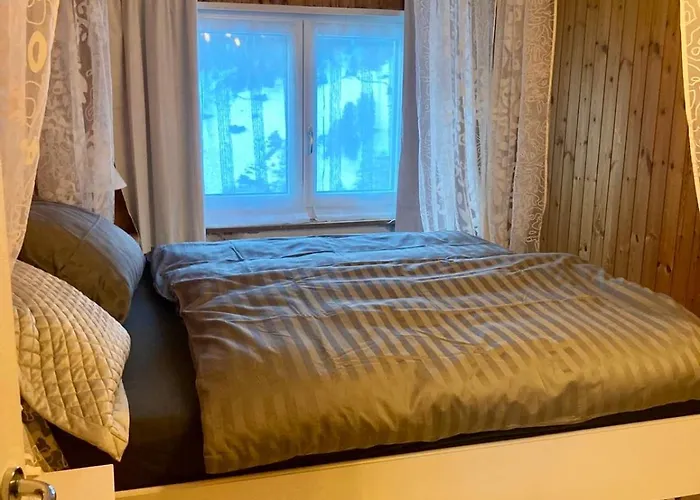 Appartement Ski Chalet Rinerhorn Glaris (Grisons)