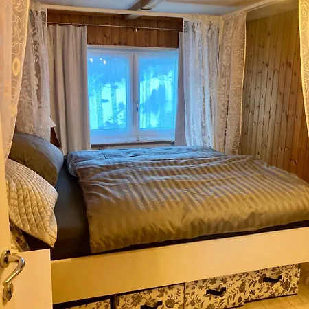 Apartment Ski Chalet Rinerhorn Glaris (Grisons)